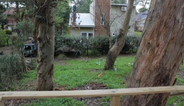 WhatsApp Image 2025-06-26 at 15.19.52 2.jpeg